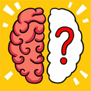 Brain Test